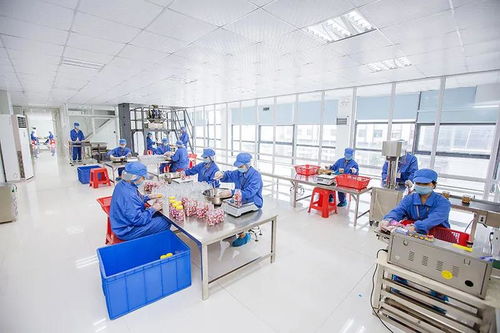 全網(wǎng)絡(luò)推廣助力食品OEM定制客戶開發(fā)與業(yè)績(jī)?cè)鲩L(zhǎng)